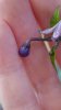 20160707_172809.jpg