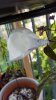 20160707_173934.jpg