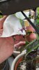 20160707_195511.jpg