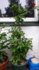20160714_101124.jpg