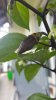 20160716_110212.jpg