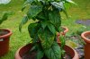 Image00001.jpg