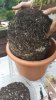 20160721_195418.jpg