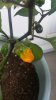 20160729_065108.jpg