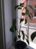IMG_3454.JPG IMG_3454.JPG