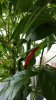 20160802_070424.jpg 20160802_070424.jpg