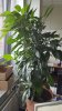 20160802_070417.jpg 20160802_070417.jpg
