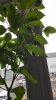 20160802_070358.jpg 20160802_070358.jpg