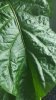 20160808_083411.jpg 20160808_083411.jpg