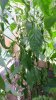 20160803_121145.jpg