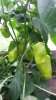 20160803_121331.jpg
