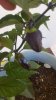 20160813_170728.jpg