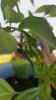 20160813_170454.jpg