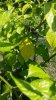 20160827_124235.jpg