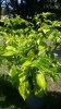 20160827_124217.jpg