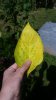 20160827_123602.jpg