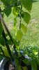 20160827_123618.jpg