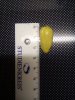 IMG_20160910_173248.jpg
