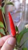 20160914_180229.jpg