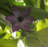 20160626_105742.jpg 20160626_105742.jpg