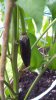 20160712_145825.jpg 20160712_145825.jpg