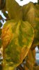 20160920_065510.jpg 20160920_065510.jpg