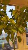 20160920_065526.jpg 20160920_065526.jpg