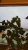 20160920_065538.jpg 20160920_065538.jpg