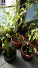 20160924_125059.jpg
