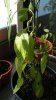 20160924_125111.jpg