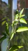 20160924_125200.jpg