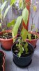 20160930_173054.jpg