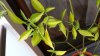 20160930_173142.jpg