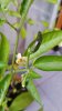 20160930_173407.jpg
