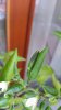 20160930_173423.jpg