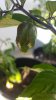 20160813_170819.jpg