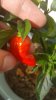 20160910_155222.jpg