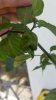 20160813_170541.jpg