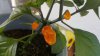 20160813_170434.jpg