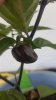 20160813_170702.jpg