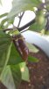 20160716_110108.jpg