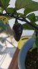 20160813_170741.jpg