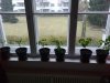IMG_20161217_095341.jpg