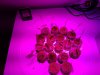 20170110_192433.jpg