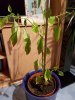 20170111_191224.jpg