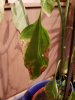 20170111_191229.jpg