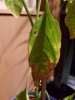 20170111_191234.jpg