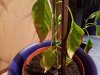 20170111_191237.jpg