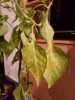 20170111_191243.jpg
