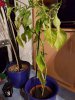 20170111_191247.jpg